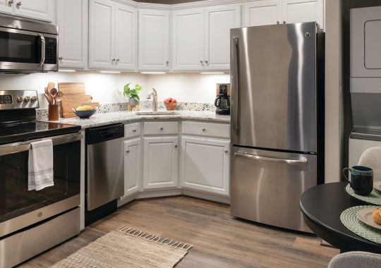 Modern and spacious apartment kitchen with sleek countertops, stainless steel appliances, and ample storage space.