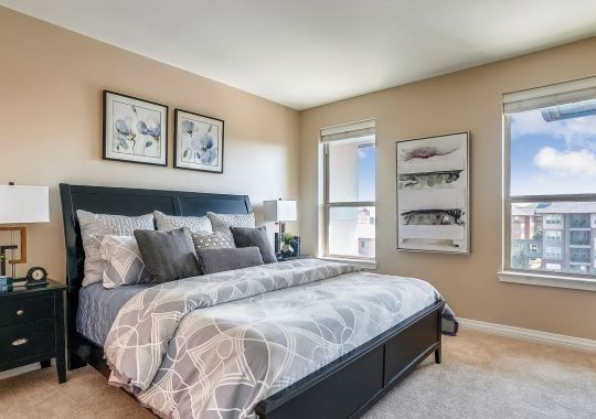 Modern bedroom with gray bedding, large windows, neutral decor, and contemporary furniture.
