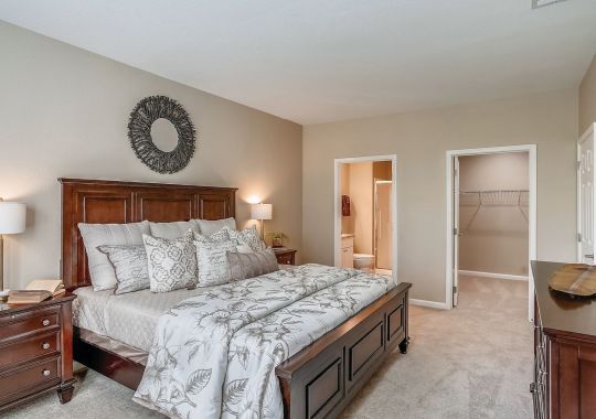 Spacious primary bedroom with wood furniture, neutral decor, plush carpeting, and walk-in closet access.