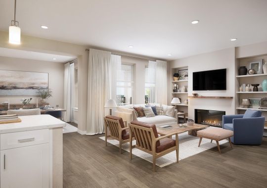 Deluxe 2BR living room