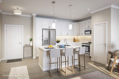 Kitchen Conceptual Rendering