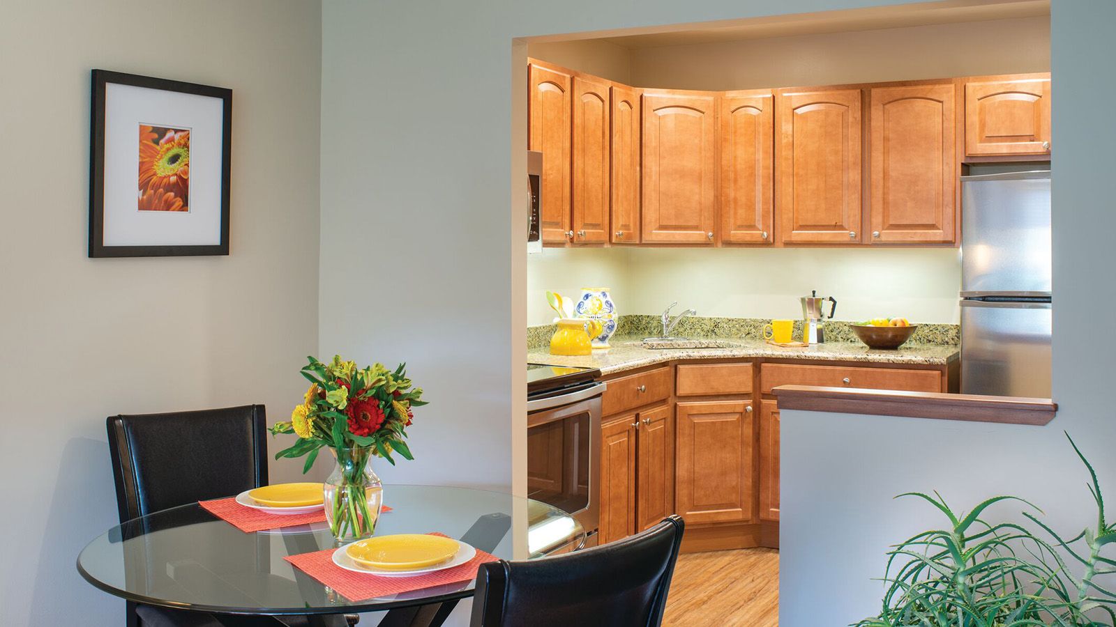 The Brighton Senior Apartments in Parkville Oak Crest