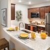 Kitchen in Brighton studio apartment home. 